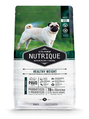 Nutrique Healthy Weight Dog