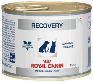 Royal Canin  Pack x 6 Latas Recovery Rs x 195 gr (Gato y Perro)