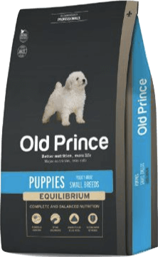 Old Prince  Puppies Equilibrium Small Breed